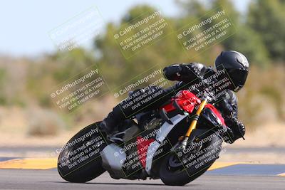 media/Mar-10-2024-SoCal Trackdays (Sun) [[6228d7c590]]/11-Turn 7 (130pm)/